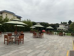 -厦门悦华酒店·绿庭主题自助餐厅