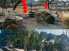 -空港花田景区