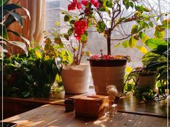 -云之南(八里庄店)