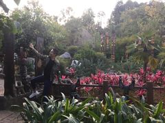 -云南民族村
