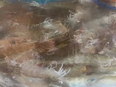 -鑫渔港海鲜本地菜·山海关浑锅(东戴河店)