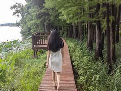 -东湖落雁景区