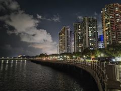 -野狸岛
