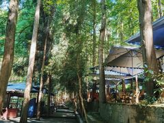 -都江堰普照寺