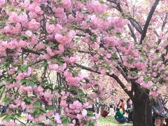 -莲花池公园