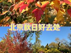 -国家植物园