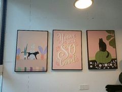 -有猫主题·治愈系猫咖(曾厝垵店)
