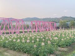 -盈香心动乐园