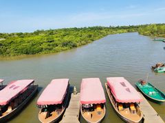 -东寨港红树林旅游区