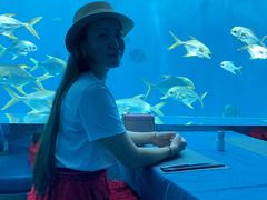 -瑞德姆美人鱼海底演艺主题餐厅(亚龙湾店)