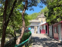 -白水寺森林公园