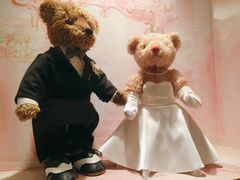 -济州岛泰迪熊博物馆