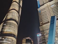 -陆家嘴中心绿地