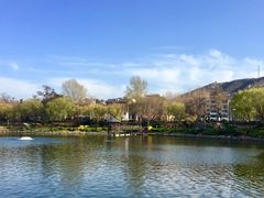 -子霖南山鲜虾面(南山总店)