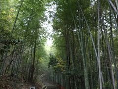 -敬亭山风景名胜区