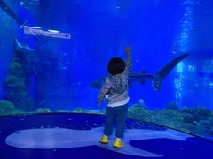 -成都浩海立方海洋公园