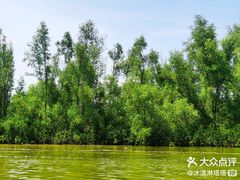 -东寨港红树林旅游区