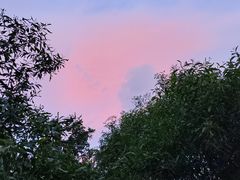 -红花山公园