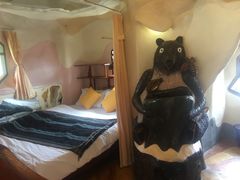 -疯狂屋