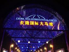 -广州长隆国际大马戏