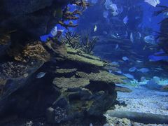 -海合安武汉极地海洋公园