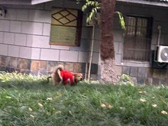 -杭州城北体育公园