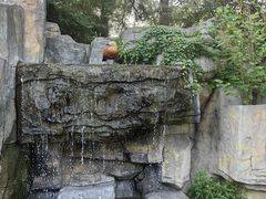 -上海野生动物园