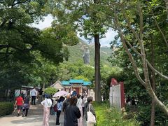 -青岛崂山太清宫
