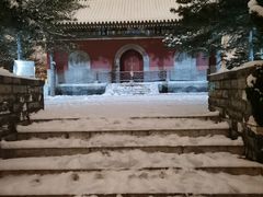 -隆德堂青瓷艺术·茶馆(故宫店)