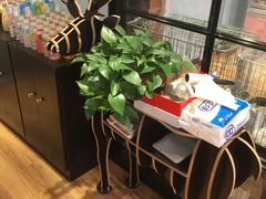 -藦茜花园宠物主题亲子互动体验馆(国顺东路店)