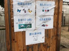 -前小桔亲子创意农场·草莓采摘·露营烧烤