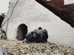 -侵华日军南京大屠杀遇难同胞纪念馆