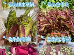 -鲜菌江湖正宗野生菌火锅