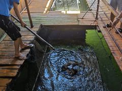 -蓝湾碧波·老字号·疍家非遗海上餐厅