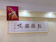 -鼓捣猫呢主题猫咖店