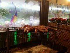 -五彩凉山自助西昌烧烤(柳翠路店)