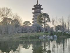 -洋湖国家湿地公园