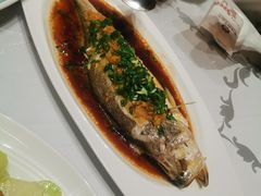 -香港狮子山下·明星粤菜餐厅(北苑店)