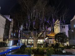 -鲤院·新中式美学·庭院餐厅(夫子庙店)