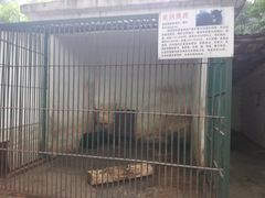 -甘棠公园