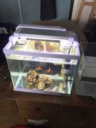 -椿树下·Tattoo纹身工作室