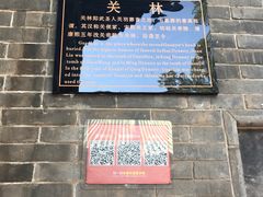 -关林