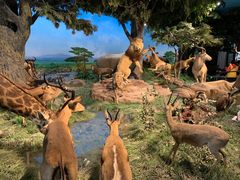 -国家自然博物馆