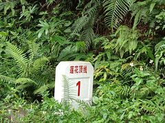 -广州市帽峰山景区