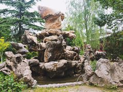 -金城公园
