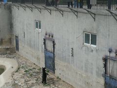 -石家庄市动物园