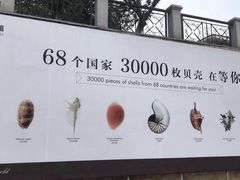 -青岛贝壳博物馆