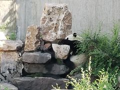 -沈阳森林动物园