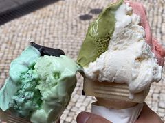 -柠檬车露(卖草地店)