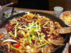 -老板恋上鱼(恒隆广场店)